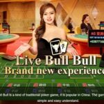 Bull Bull: Panduan paling detail tentang cara bermain