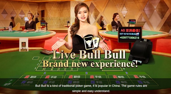 Bull Bull: Panduan paling detail tentang cara bermain