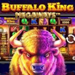 Buffalo King Megaways - Berburu harta karun dari alam liar