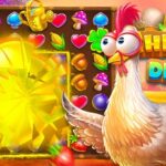 Chicken Drop - Beternak ayam untuk mendapatkan uang dari permainan slot gratis