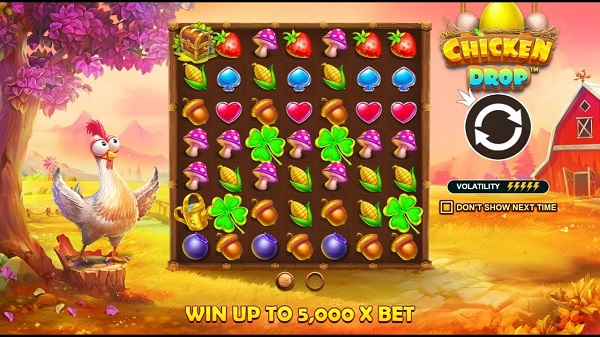 Chicken Drop - Beternak ayam untuk mendapatkan uang dari permainan slot gratis