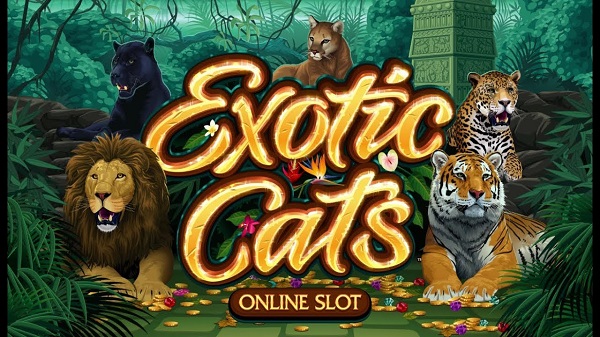 Exotic Cats - Game slot dengan gameplay menarik dengan gambar berkualitas tinggi