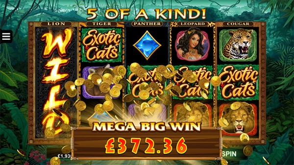Exotic Cats - Game slot dengan gameplay menarik dengan gambar berkualitas tinggi