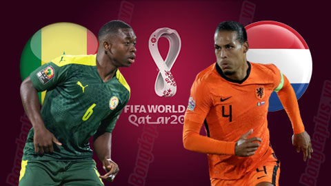 Prediksi Senegal vs Belanda 23:00 11/21 – Piala Dunia 2022