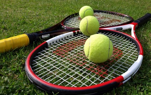 Strategi Taruhan Tenis untuk Pemula: Mulailah Menang Hari Ini